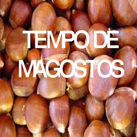Tempo De Magostos - Celia Díaz Núñez