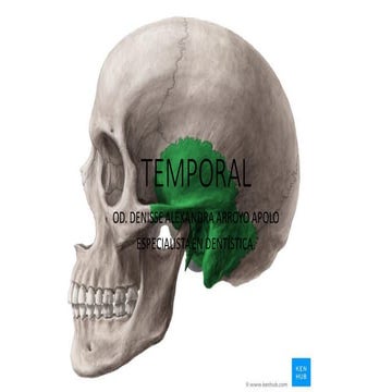 Exposicion temporal terminada | PPTX
