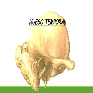ANATOMÍA DEHUESO TEMPORAL OTORRINOLARINGOLOGIA.pptx