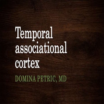 Temporal associational cortex