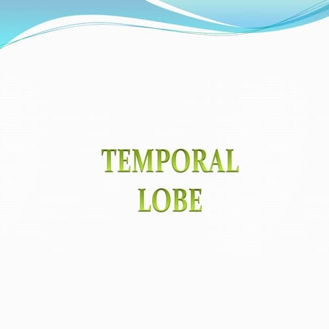 Temporal lobe