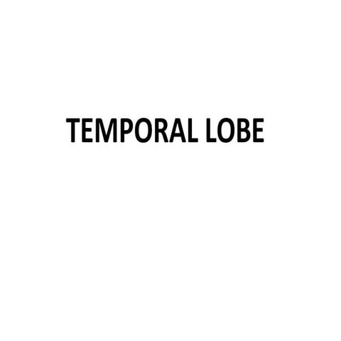 temporal lobe.pptx