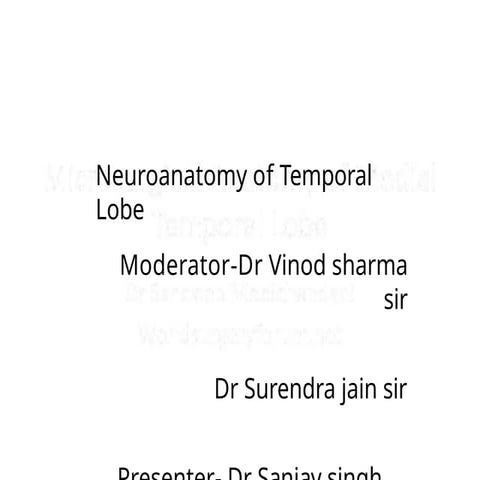 Anatomy & Function of Temporal lobe | PPTX