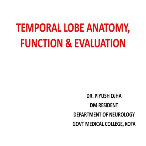 Temporal lobe ppt