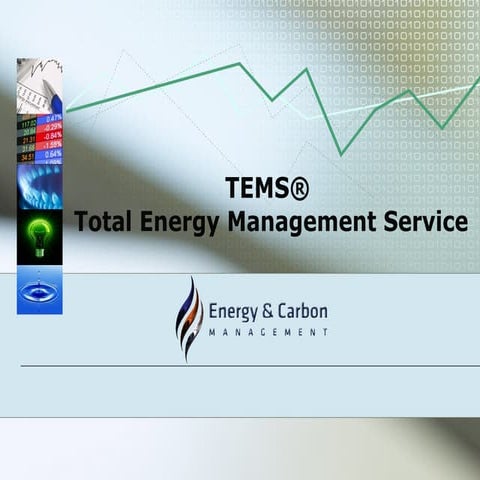 TEMS Total Energy Management Service