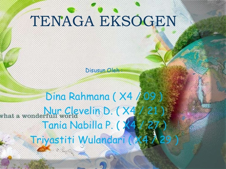 Tenaga Eksogen