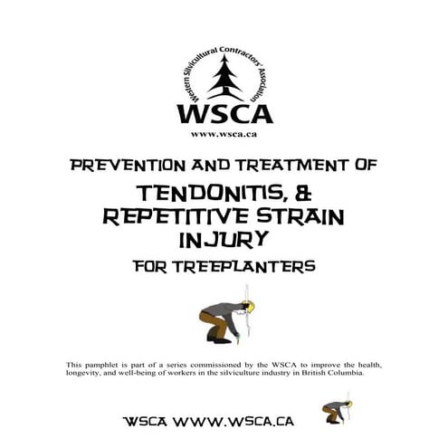 Tendonitis | PDF