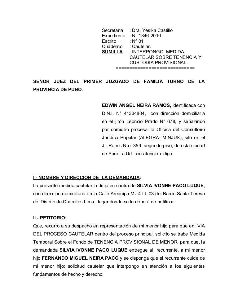 Tenencia provisional