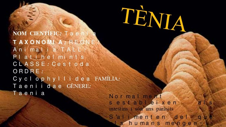 parassitosi da platelminti