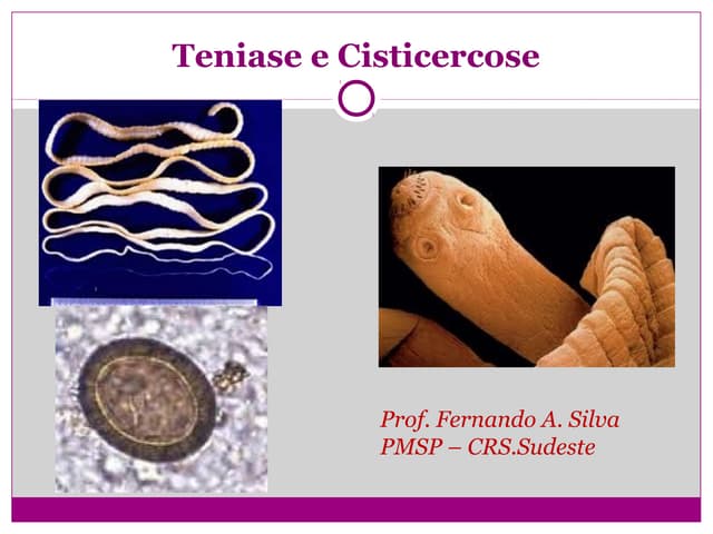 Teniase e cisticercose
