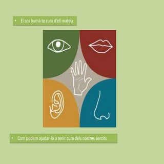 Tenir cura dels sentits