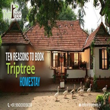 Ten reasons to book trip tree homestay