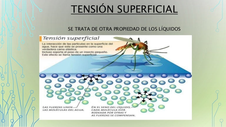 Tensión superficial