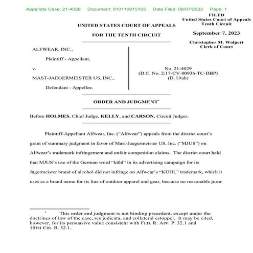 Tenth Circuit Opinion in Alfwear.pdf