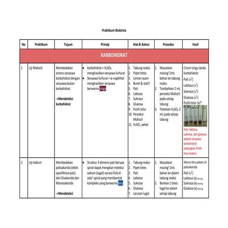 Tentir Praktikum Biokim.pdf