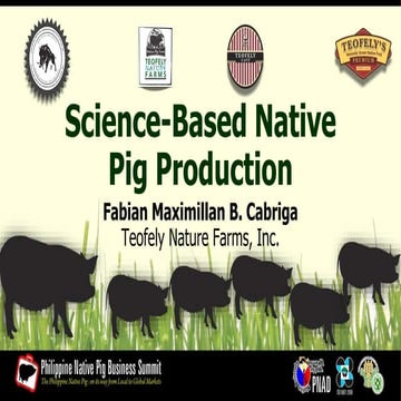 Science-based native pig production to meet quality requirements of native pi...