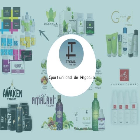 Teoma strategic2-delivery