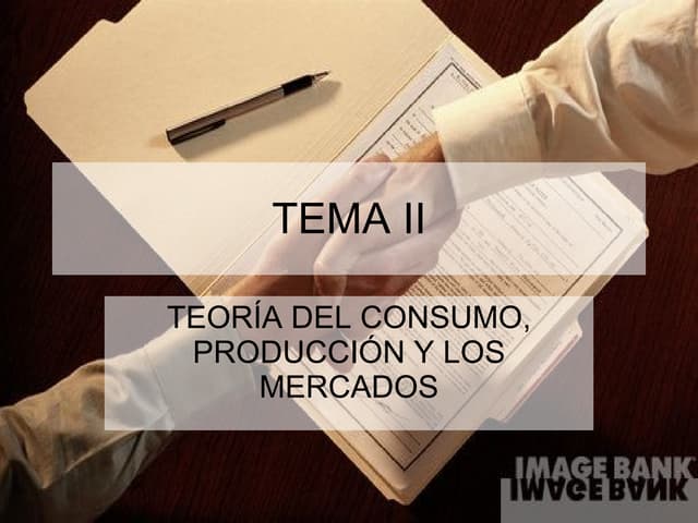 TeorÍa Del Consumo