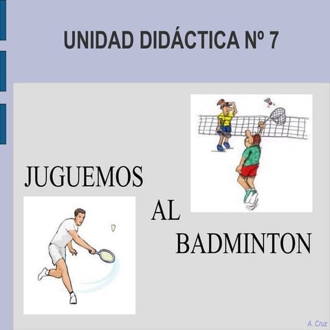 TEORÍA DE BÁDMINTON