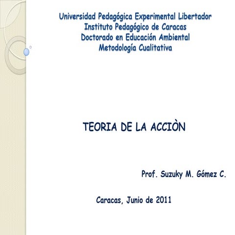 Teorìa de la  acciòn