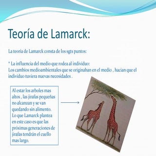 Teoría de lamarck