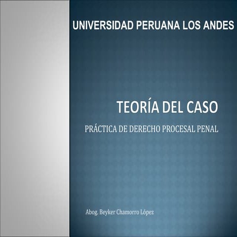 Teoría del caso
