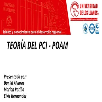 TEORÍA PARA CREACION DE MATRIZ PCI - POAM.pdf