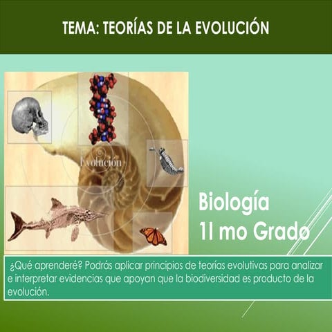 BIOLOGÍA Y LAS TEORÍAS DE LA EVOLUCIÓN.pptx