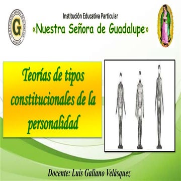 Teorías de tipos constitucionales (vi unidad) quinto