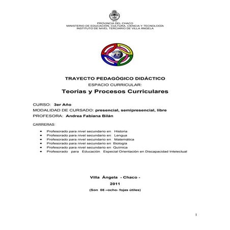 Programa de Teorías y procesos curriculares 2011