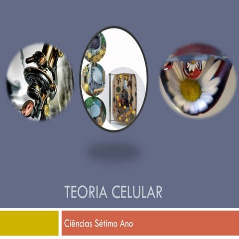 Teoria celular