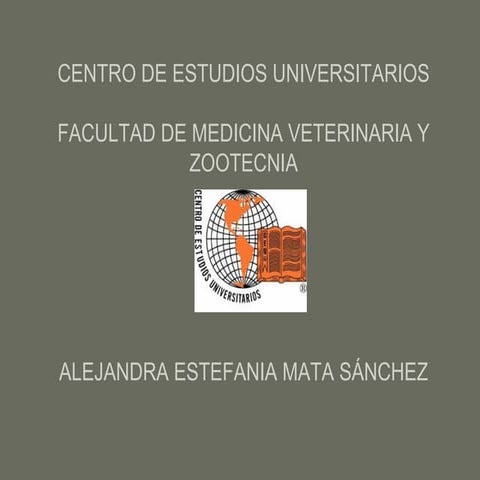 Teoria de los 5 elementos