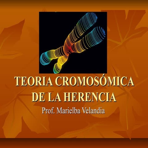 Teoria cromosómica de la herencia