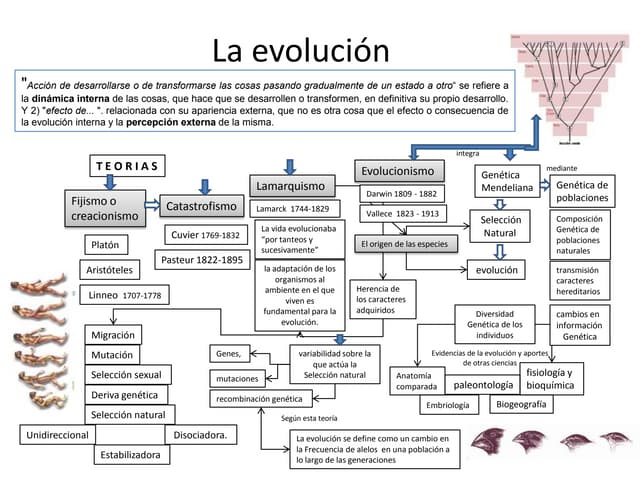 Cuadro Comparativo De Las Teorias De La Evolucion