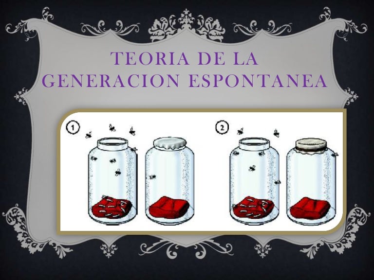 Teoria de la generacion espontanea Teoria de la generacion espontanea