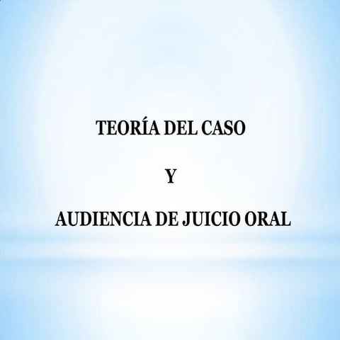 Teoria del caso y juicio oral