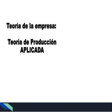 TEORIA DE  PRODUCCION APLICADA exposicion.pptx