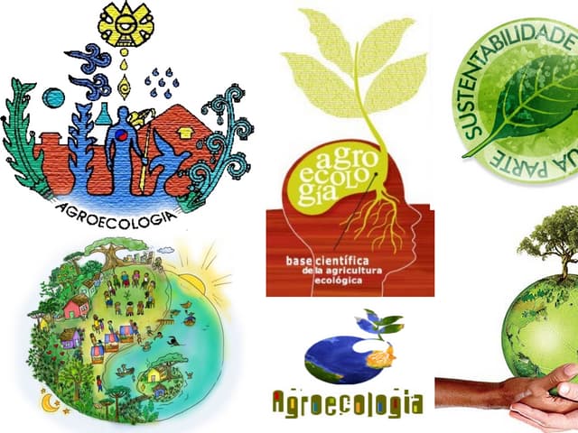 Teoria e métodos em Agroecologia
