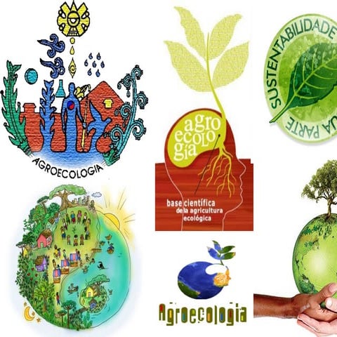 Teoria e métodos em Agroecologia