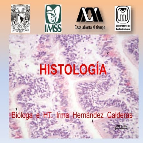 Test de presentaciones Teoria histologia sept 2014