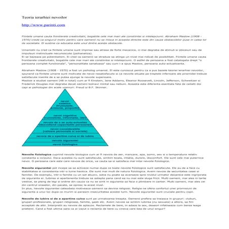 Teoria ierarhiei nevoilor