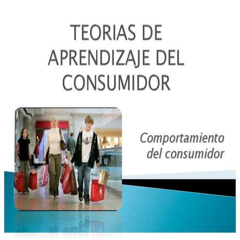 Teorias del aprendizaje del consumidor