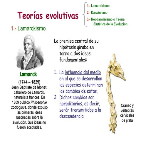 1º Civilización U1º: Las teorías evolucionistas