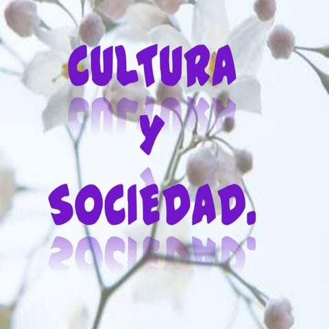 Teoria sobre sociedad y cultura