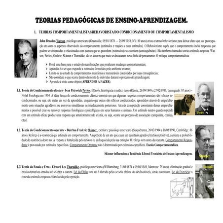 Principais teorias da aprendizagem | PDF