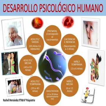 Linea del tiempo desarrollo humanoo.pptx