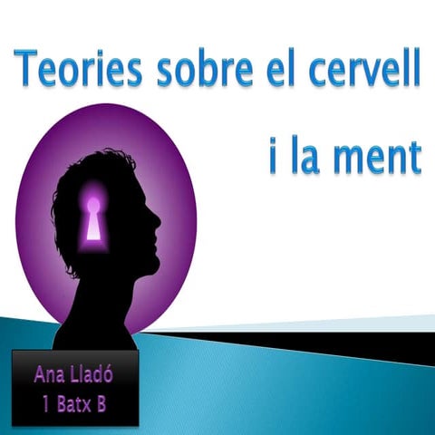 Teories sobre el cervell i la ment