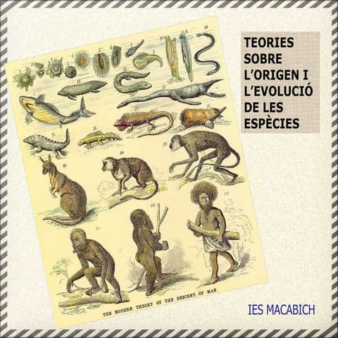 Origen i evolució de les espècies: Teories