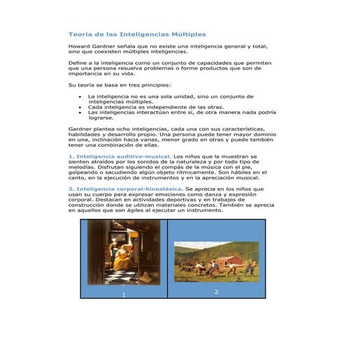 Teor ii nteligenicasmultiples