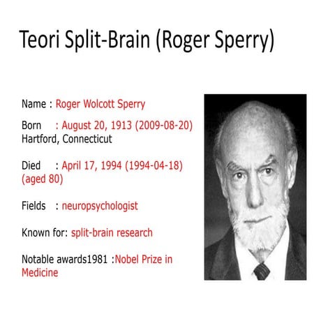 Teori split brain (roger sperry)